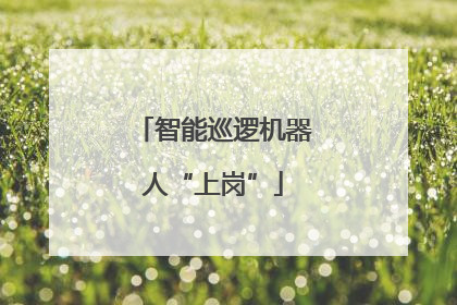 智能巡逻机器人“上岗”