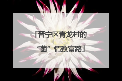 晋宁区青龙村的“菌”情致富路