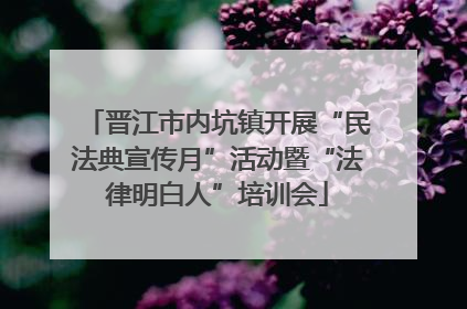 晋江市内坑镇开展“民法典宣传月”活动暨“法律明白人”培训会