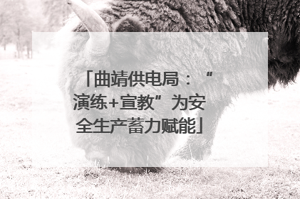 曲靖供电局：“演练+宣教”为安全生产蓄力赋能