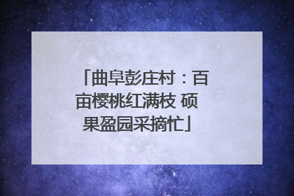 曲阜彭庄村：百亩樱桃红满枝 硕果盈园采摘忙