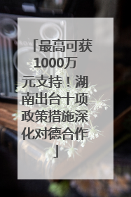 最高可获1000万元支持！湖南出台十项政策措施深化对德合作