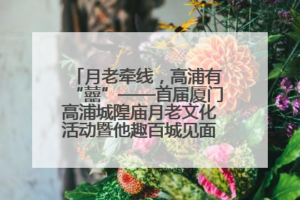 月老牵线，高浦有“囍”——首届厦门高浦城隍庙月老文化活动暨他趣百城见面会隆重举办