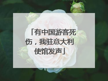 有中国游客死伤，我驻意大利使馆发声
