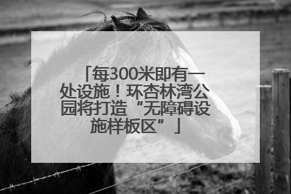 每300米即有一处设施！环杏林湾公园将打造“无障碍设施样板区”