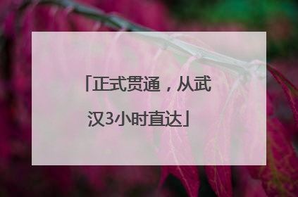 正式贯通，从武汉3小时直达