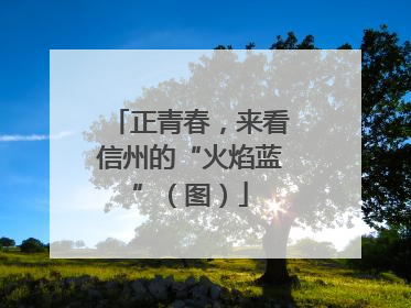 正青春，来看信州的“火焰蓝”（图）