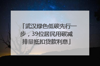 武汉绿色低碳先行一步，39位居民用碳减排量抵扣贷款利息