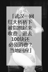 武汉一网红大桥桥下被指圈起来收费，进去100块还必须消费？当地回应