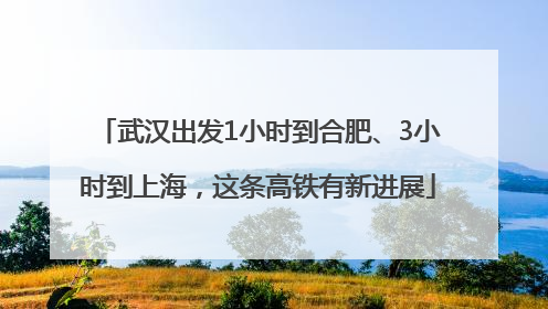 武汉出发1小时到合肥、3小时到上海，这条高铁有新进展
