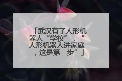 武汉有了人形机器人“学校”，“人形机器人进家庭，这是第一步”