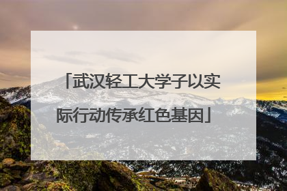 武汉轻工大学子以实际行动传承红色基因