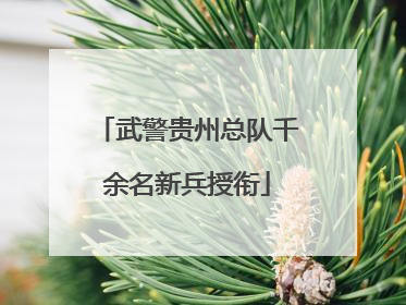 武警贵州总队千余名新兵授衔