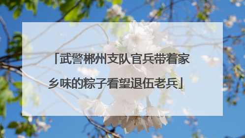 武警郴州支队官兵带着家乡味的粽子看望退伍老兵