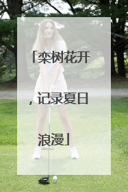 栾树花开，记录夏日浪漫