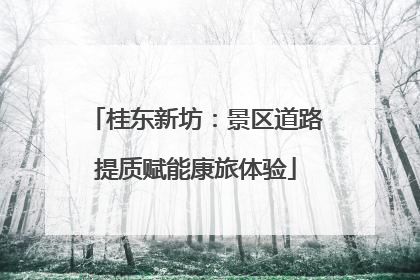 桂东新坊：景区道路提质赋能康旅体验