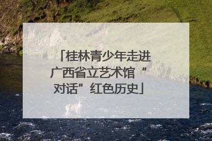 桂林青少年走进广西省立艺术馆“对话”红色历史