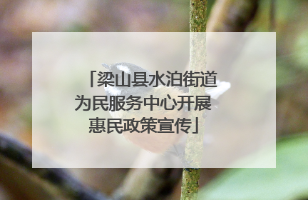 梁山县水泊街道为民服务中心开展惠民政策宣传