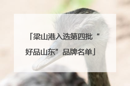 梁山港入选第四批“好品山东”品牌名单