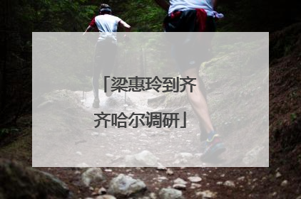 梁惠玲到齐齐哈尔调研