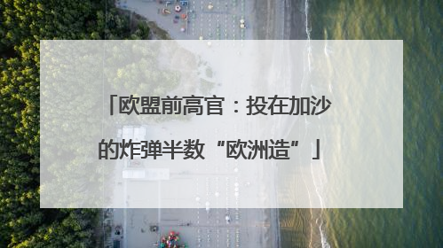欧盟前高官：投在加沙的炸弹半数“欧洲造”