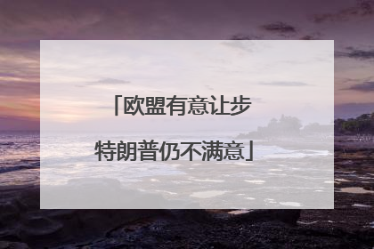 欧盟有意让步 特朗普仍不满意
