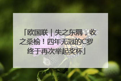 欧国联｜失之东隅，收之桑榆！四年无冠的C罗终于再次举起奖杯