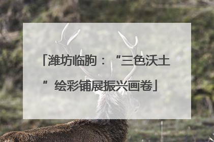 潍坊临朐：“三色沃土”绘彩铺展振兴画卷