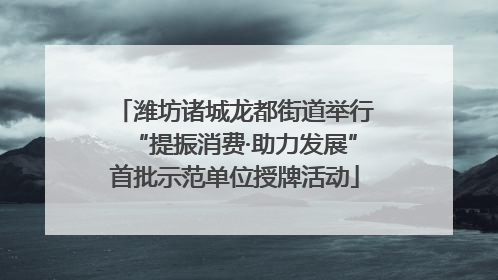 潍坊诸城龙都街道举行“提振消费·助力发展”首批示范单位授牌活动