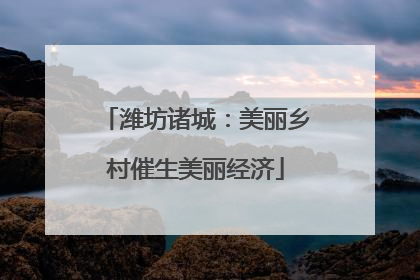 潍坊诸城：美丽乡村催生美丽经济