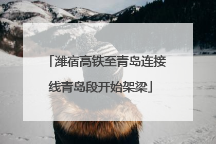潍宿高铁至青岛连接线青岛段开始架梁