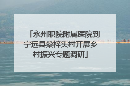 永州职院附属医院到宁远县桑梓头村开展乡村振兴专题调研