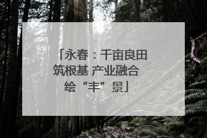 永春：千亩良田筑根基 产业融合绘“丰”景