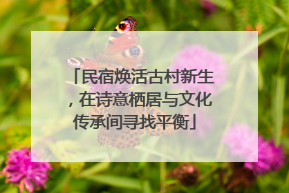 民宿焕活古村新生，在诗意栖居与文化传承间寻找平衡