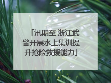 汛期至 浙江武警开展水上集训提升抢险救援能力