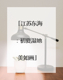 江苏东海：初夏湿地美如画