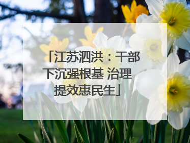 江苏泗洪：干部下沉强根基 治理提效惠民生