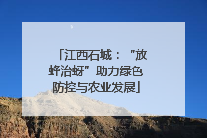 江西石城：“放蜂治蚜”助力绿色防控与农业发展