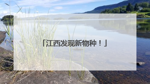 江西发现新物种！