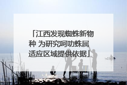 江西发现蜘蛛新物种 为研究呵叻蛛属适应区域提供依据