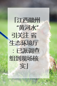 江西赣州“黄河水”引关注 省生态环境厅：已派调查组到现场核实