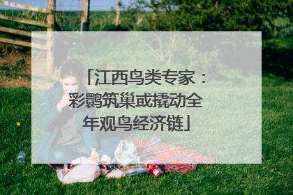 江西鸟类专家：彩鹮筑巢或撬动全年观鸟经济链