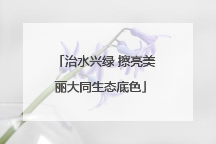 治水兴绿 擦亮美丽大同生态底色