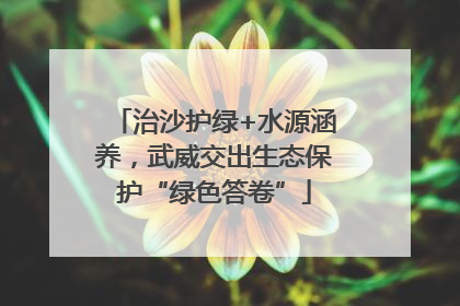 治沙护绿+水源涵养，武威交出生态保护“绿色答卷”