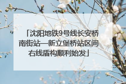 沈阳地铁9号线长安桥南街站—新立堡桥站区间右线盾构顺利始发