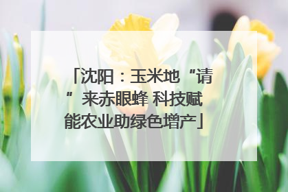 沈阳：玉米地“请”来赤眼蜂 科技赋能农业助绿色增产