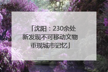 沈阳：230余处新发现不可移动文物重现城市记忆