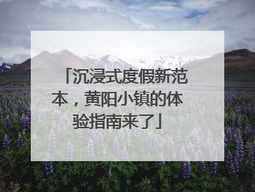 沉浸式度假新范本，黄阳小镇的体验指南来了