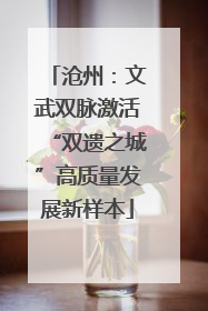 沧州：文武双脉激活“双遗之城”高质量发展新样本