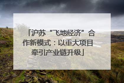 沪苏“飞地经济”合作新模式：以重大项目牵引产业链升级